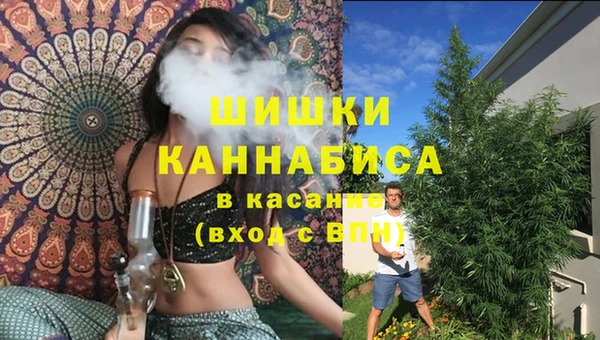 ECSTASY Армянск
