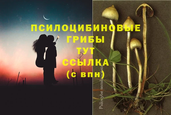 ECSTASY Армянск