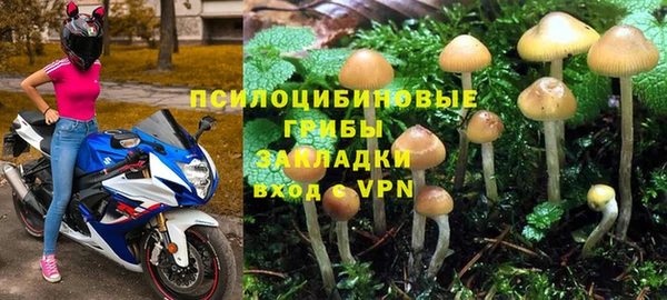 молекула духа Навашино