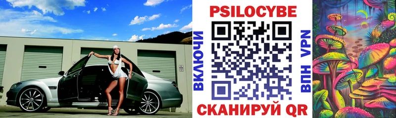 omg сайт  Богданович  Псилоцибиновые грибы ЛСД 